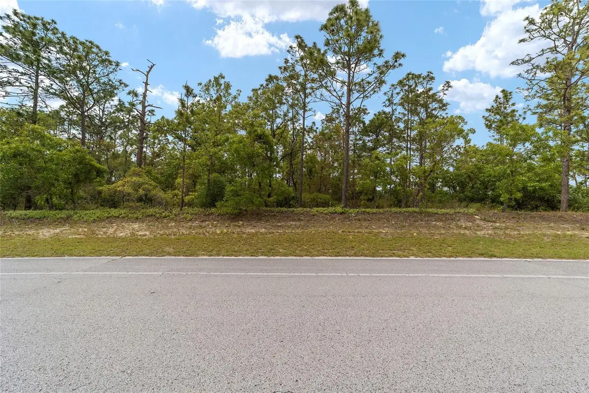 9200 N Citrus Springs Boulevard, Citrus Springs, FL 34433 - Image #1
