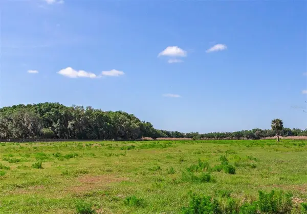 419 Jameson Road, LITHIA, FL 33547