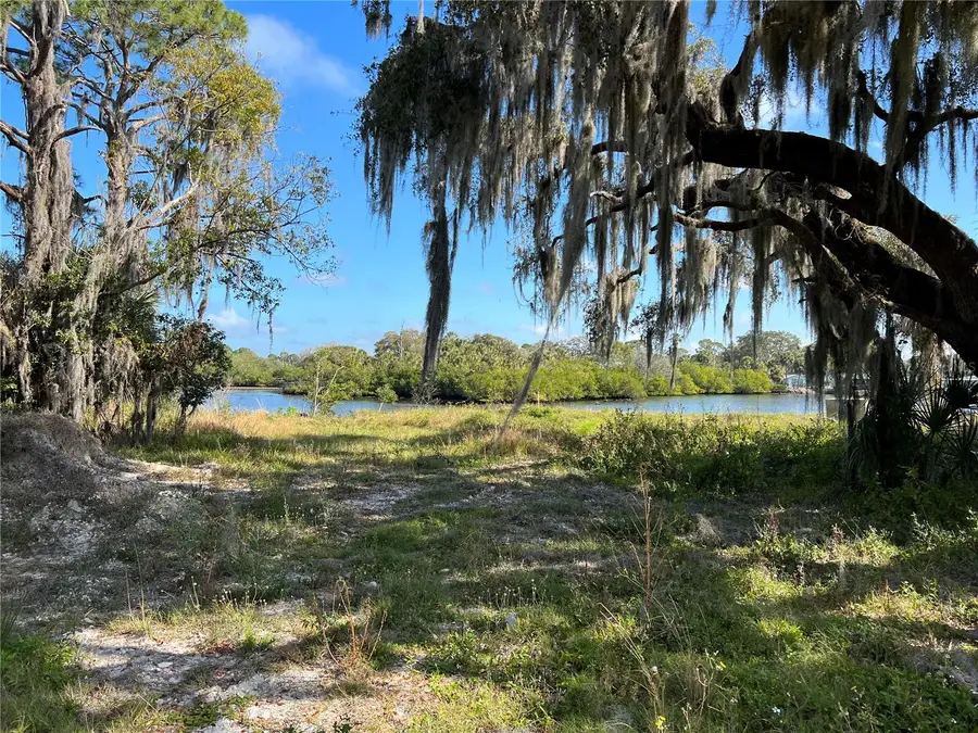 Tiberius Trail, New Port Richey, FL 34652 - Image #2