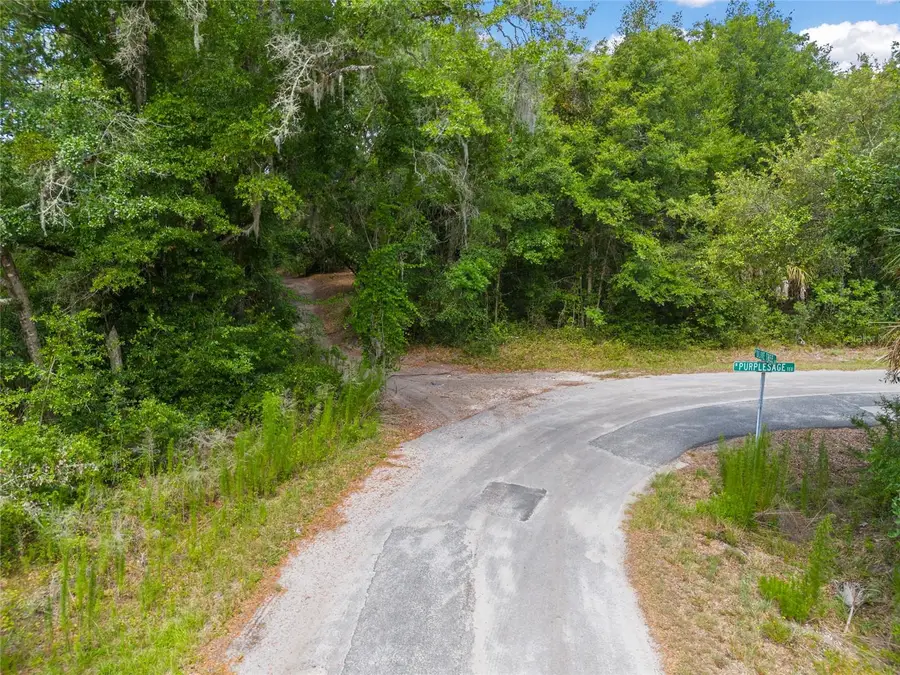 12180 W Olive Tree Lane, Crystal River, FL 34428 - Image #3