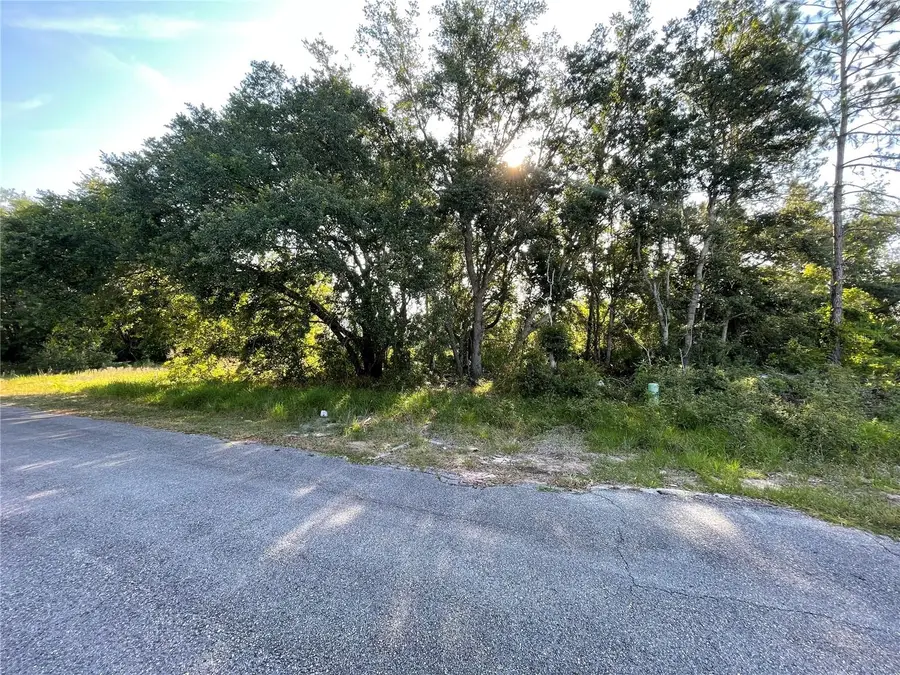 1613 Tench Court, Poinciana, FL 34759 - #3