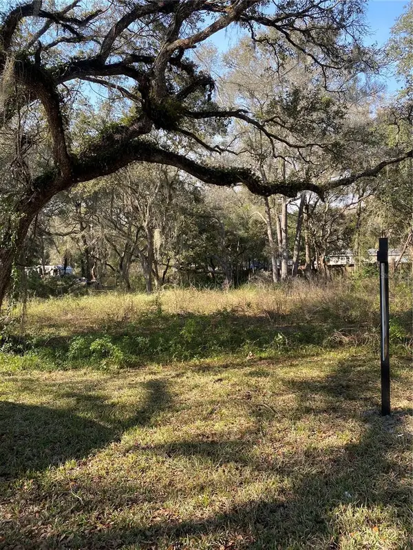 Address Withheld By Seller, BUSHNELL, FL 33513