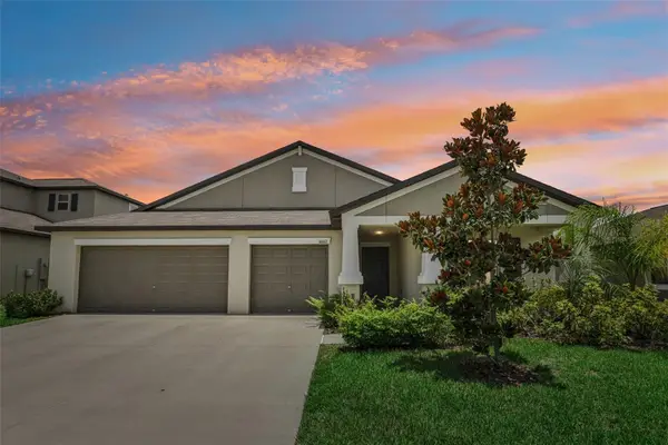 16612 Carlton Pond Street, WIMAUMA, FL 33598