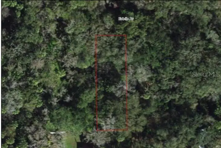 939 Estelle Avenue, Brandon, FL 33511 - Image #3