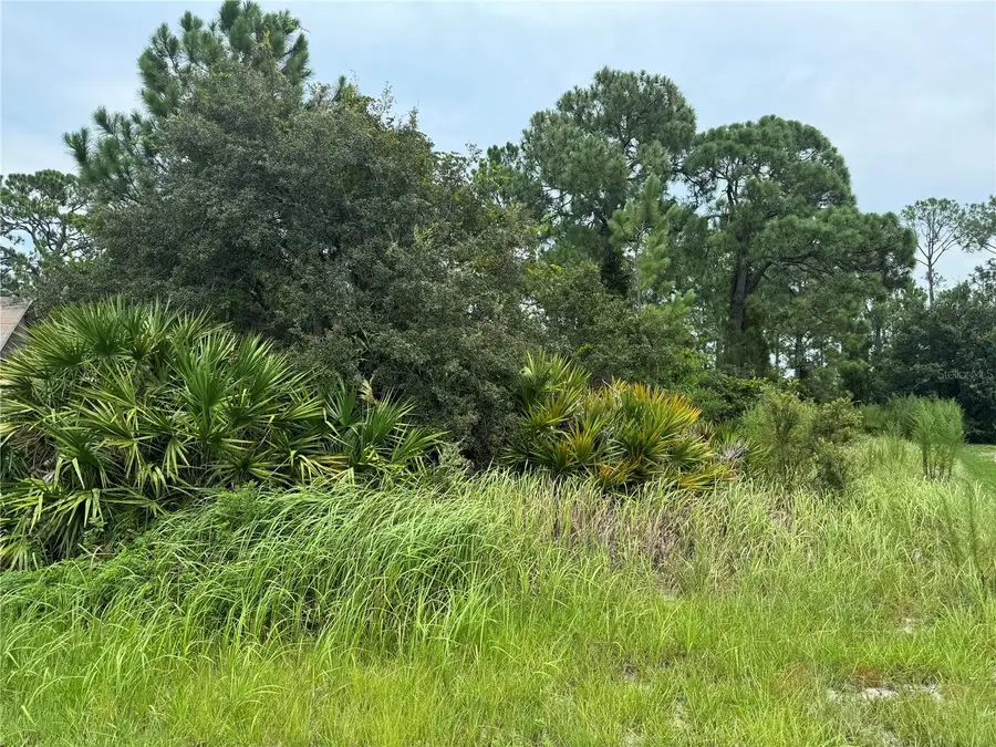 1238 Apopka Lane, Poinciana, FL 34759 - #3