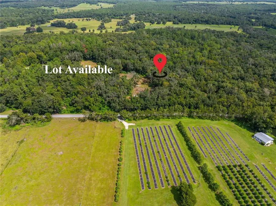 00 Whitman Road, Brooksville, FL 34601 - Image #2