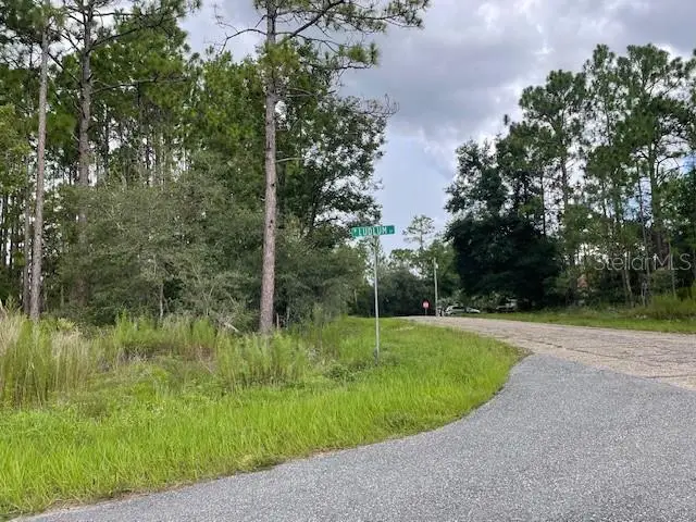 932 W Ludlum Street, Pine Ridge, FL 34434 - #2