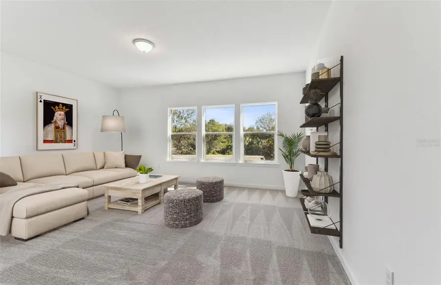 13810 Sunlight Meadow Drive, Riverview, FL 33578 - Image #3