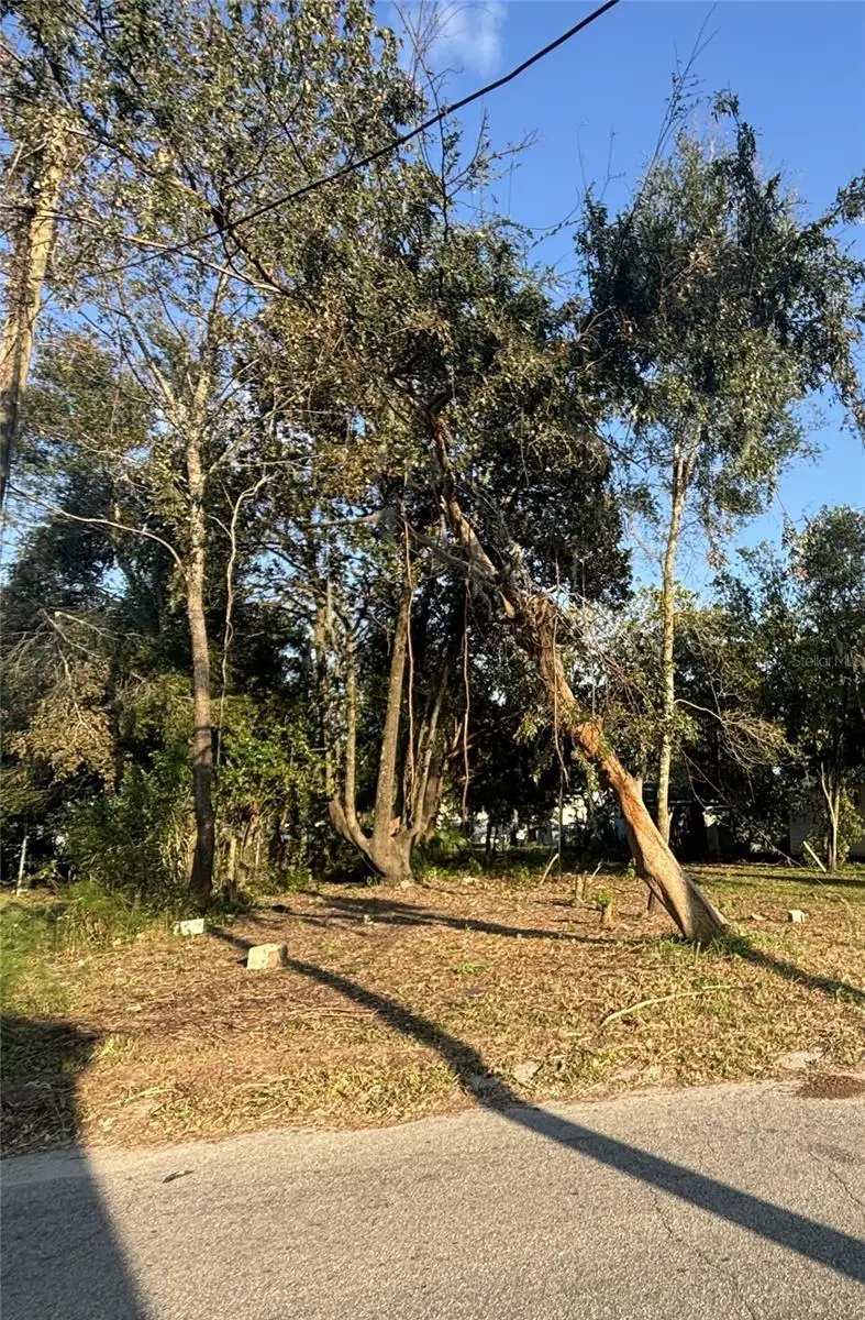 14530 6th Street, Dade City, FL 33523 - Image #3