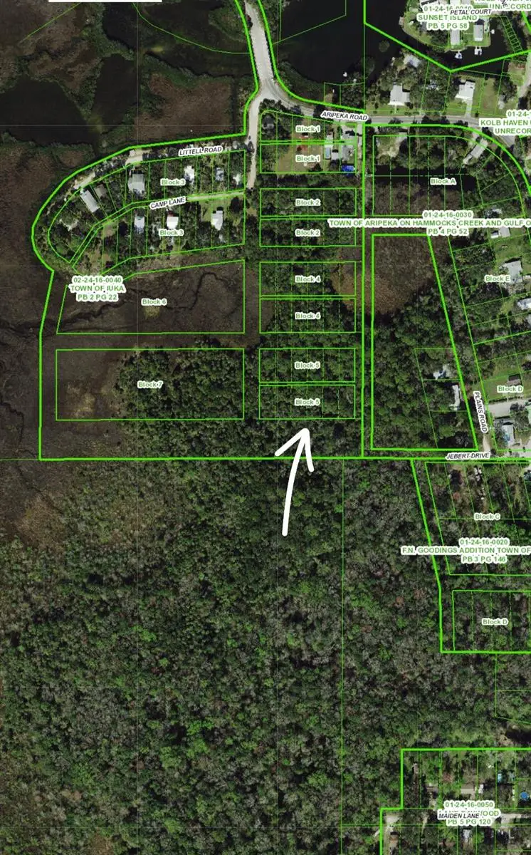 Aripeka Rd, Hudson, FL 34667 - Image #2