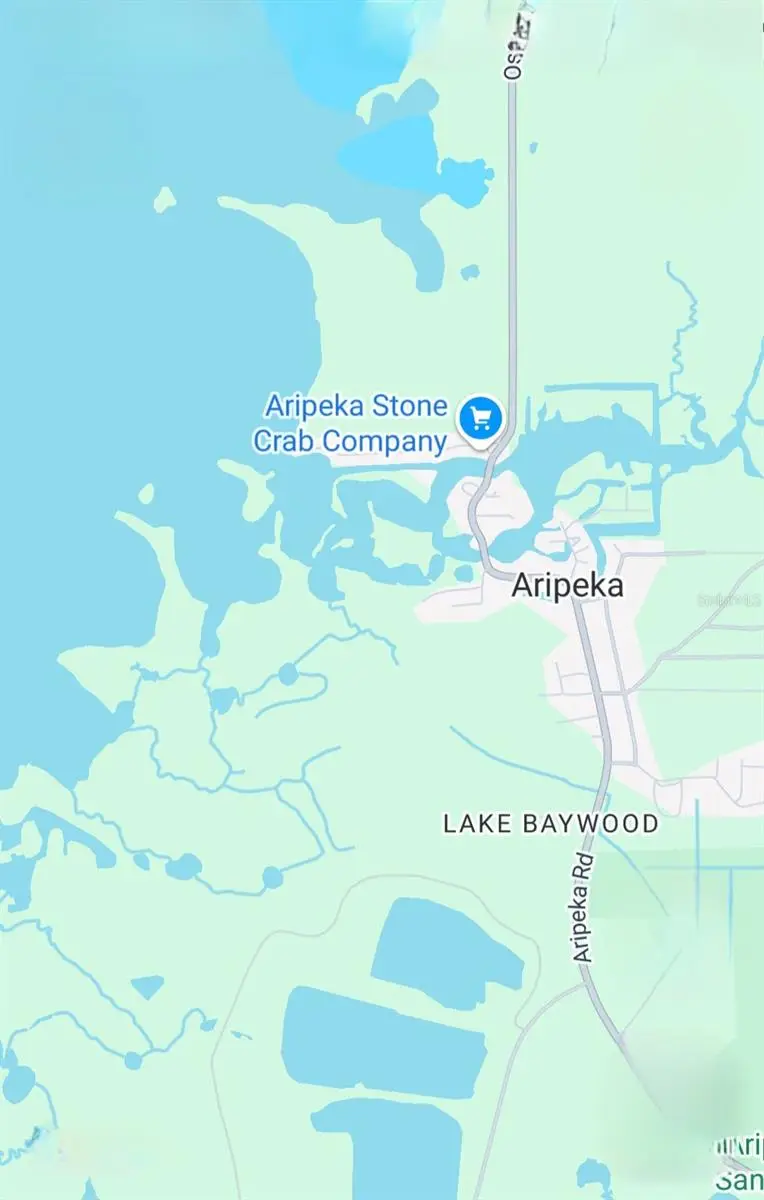 Aripeka Rd, Hudson, FL 34667 - Image #3