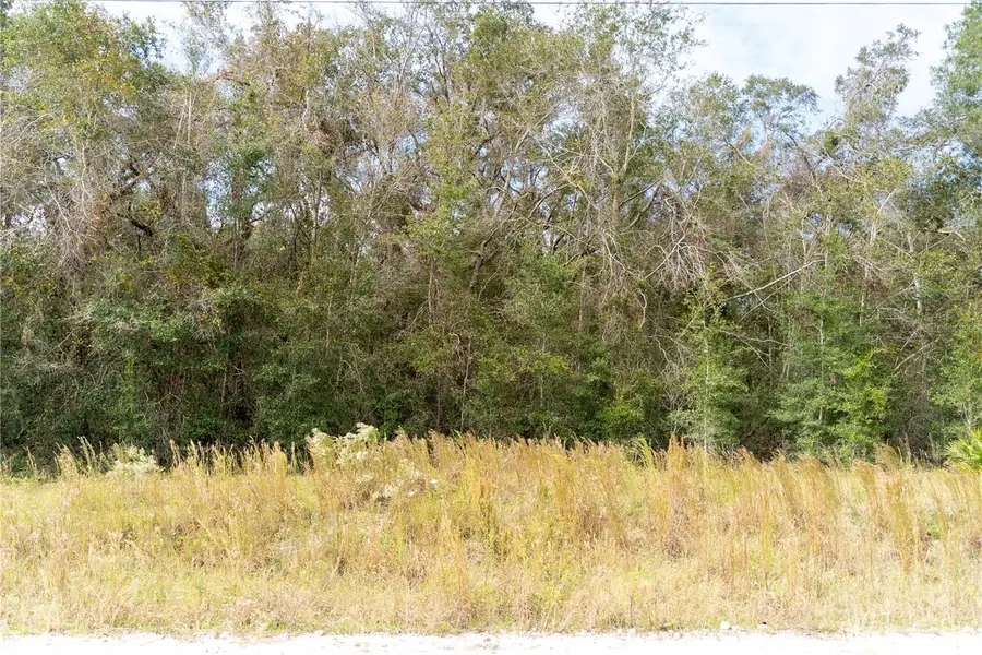 Ne 825th St, Old Town, FL 32680 - Image #2