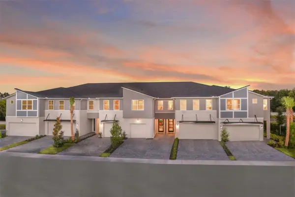 4351 Cloud Hopper Way, LUTZ, FL 33559