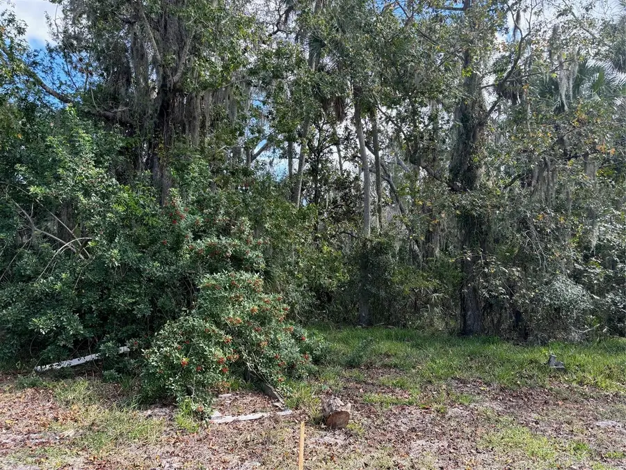 0 Kolb Place, Hudson, FL 34667 - Image #2