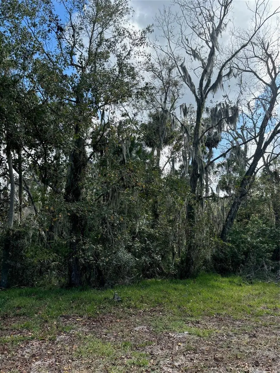 0 Kolb Place, Hudson, FL 34667 - Image #3