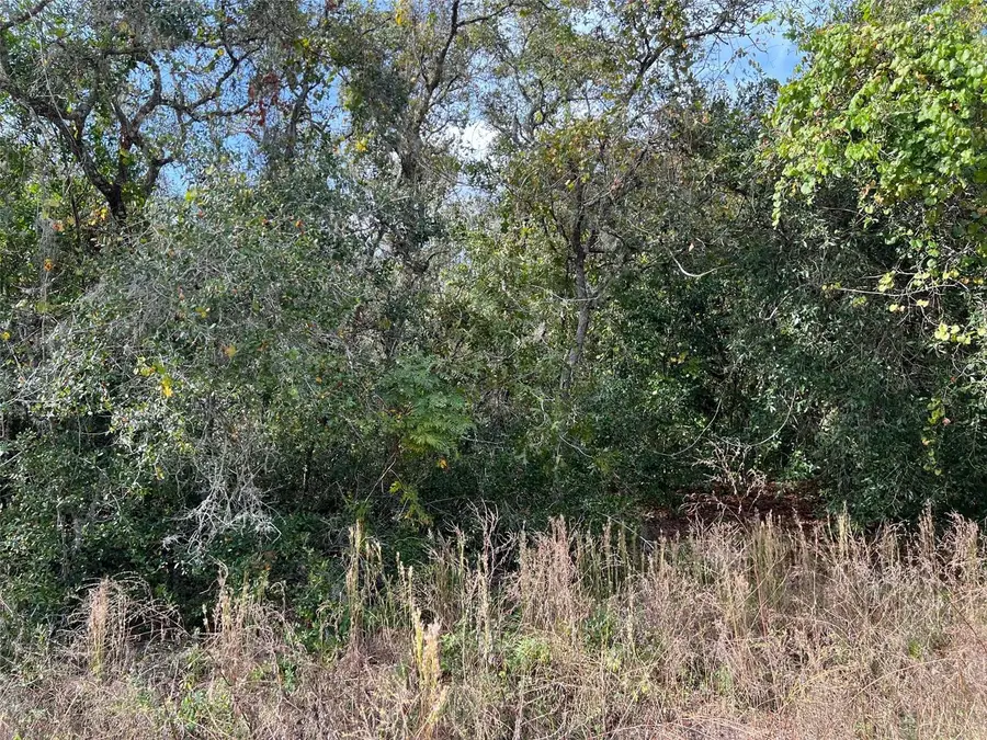 12151 Twin Lake Drive, New Port Richey, FL 34654 - Image #3