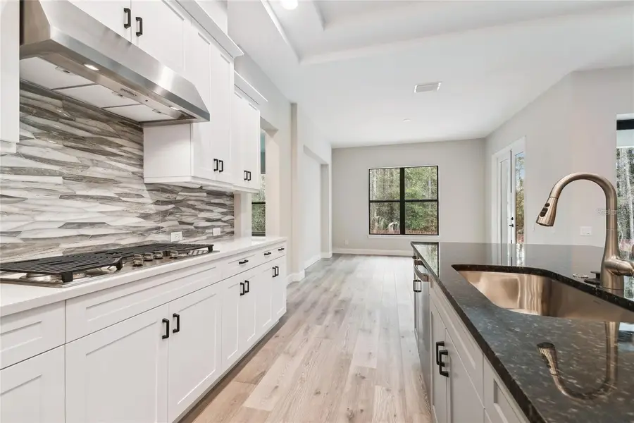 19504 Sheltered Hill Drive, Brooksville, FL 34601 - Image #3