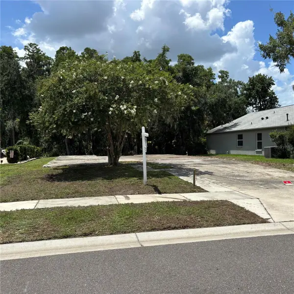 1323 Baythorn Drive, WESLEY CHAPEL, FL 33543