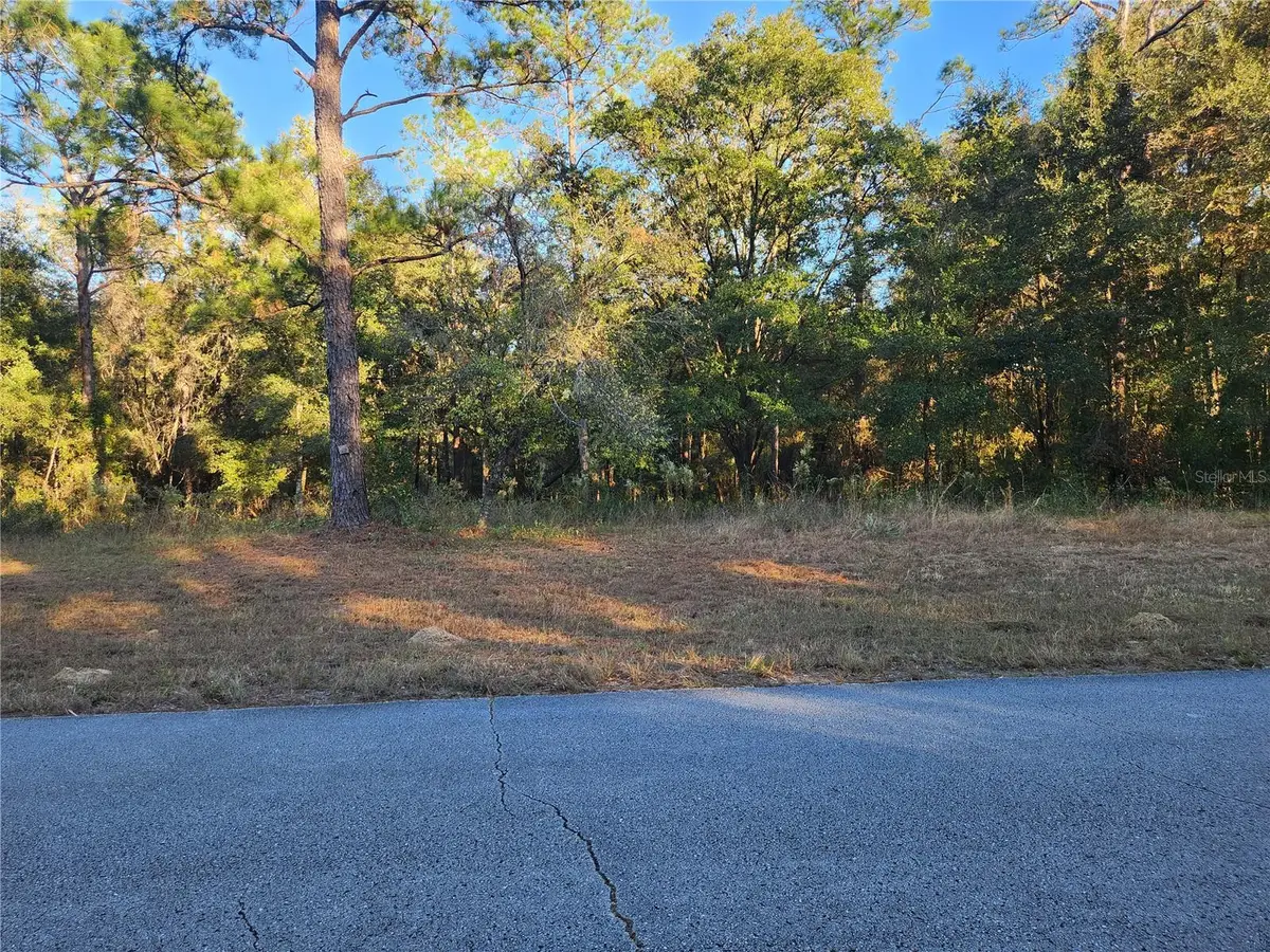 9155 N Alameda Drive, Citrus Springs, FL 34434 - #1