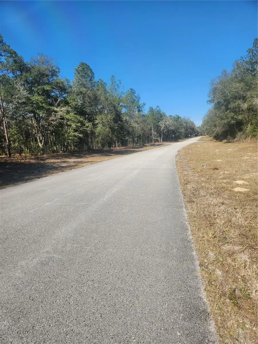 9155 N Alameda Drive, Citrus Springs, FL 34434 - #2