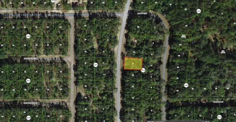 9155 N Alameda Drive, Citrus Springs, FL 34434 - #3