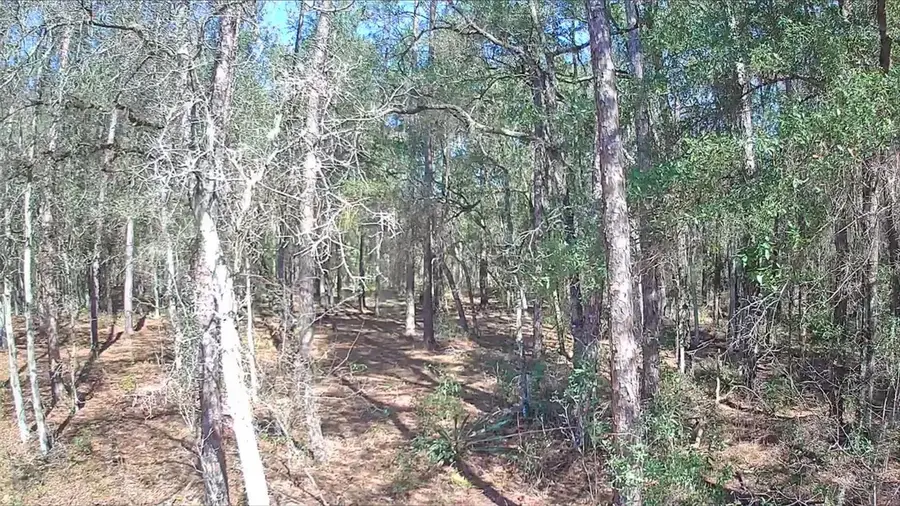 8587 N Stern Way, Citrus Springs, FL 34434 - #3