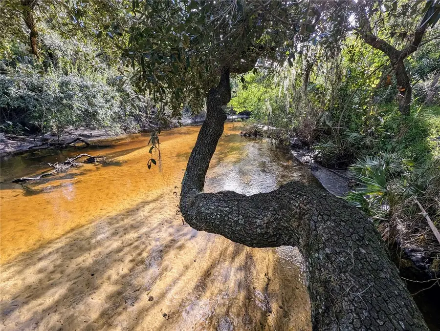 8839 Richmond Street, Gibsonton, FL 33534 - Image #2