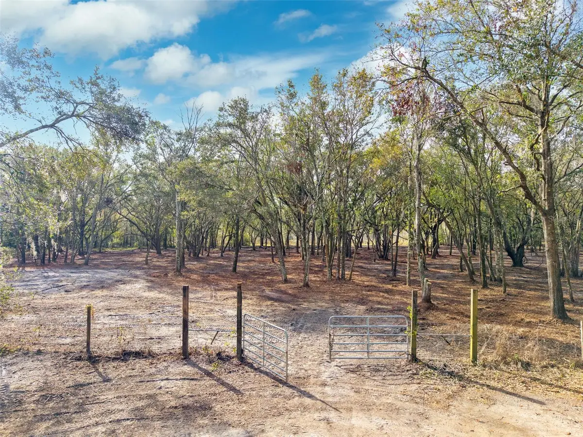 Justin Lane, Plant City, FL 33565 - Image #1