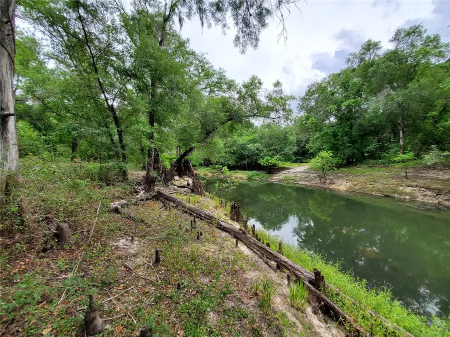 Ringwalt Drive, Dade City, FL 33523 - Image #2