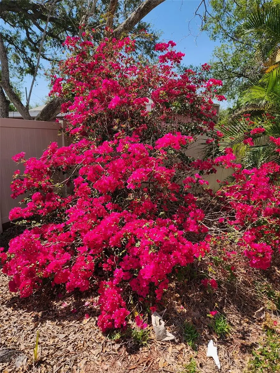 3008 W Napoleon Avenue, Tampa, FL 33611 - Image #3