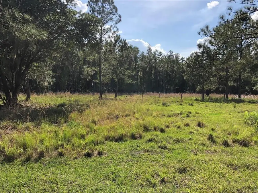 17301 Morris Bridge Road, Thonotosassa, FL 33592 - Image #2