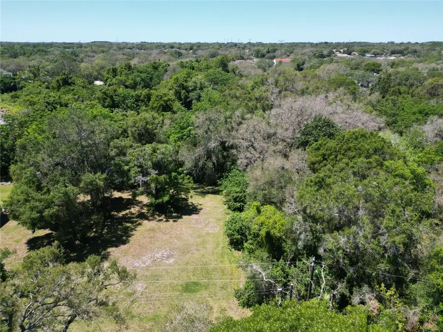 Elm Street, Safety Harbor, FL 34695 - Image #2