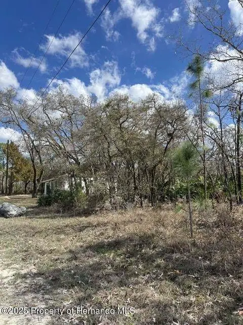 10180 Zebrafinch Avenue, Weeki Wachee, FL 34614 - Image #3