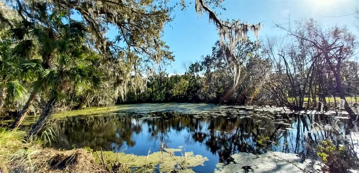 11105 Winn Road, Riverview, FL 33569 - Image #1