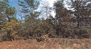 158 Arden Street, Georgetown, FL 32139 - Image #1