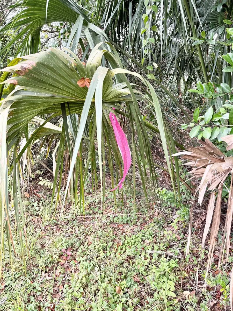 0 Hilda Rd, Dade City, FL 33523 - Image #2