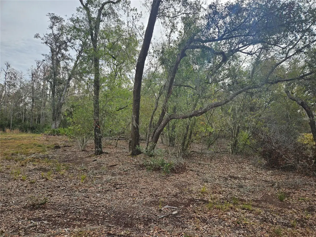 Candis Rd, Plant City, FL 33565 - Image #1