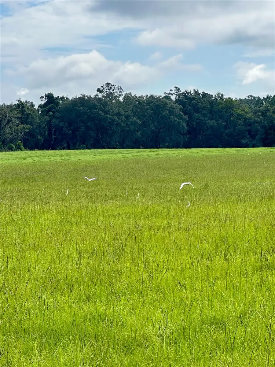 14720 40th St, Live Oak, FL 32060 - Image #3