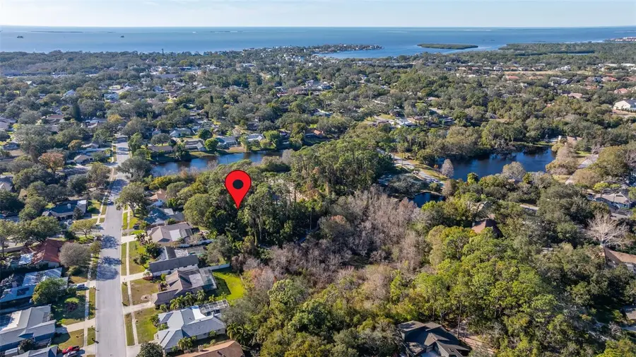 1302 Almaria Court, Palm Harbor, FL 34683 - Image #3