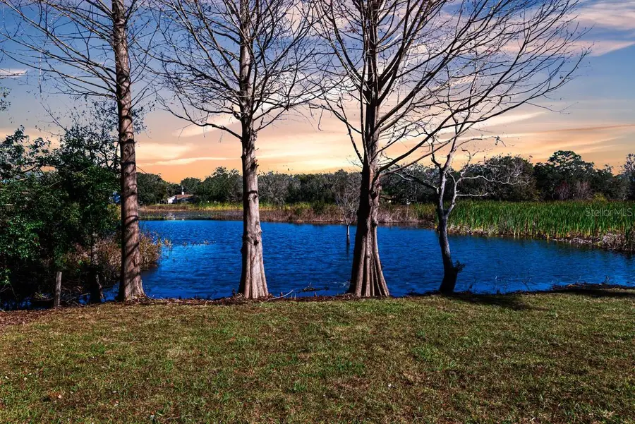 11416 Pine Forest Drive, New Port Richey, FL 34654 - Image #2