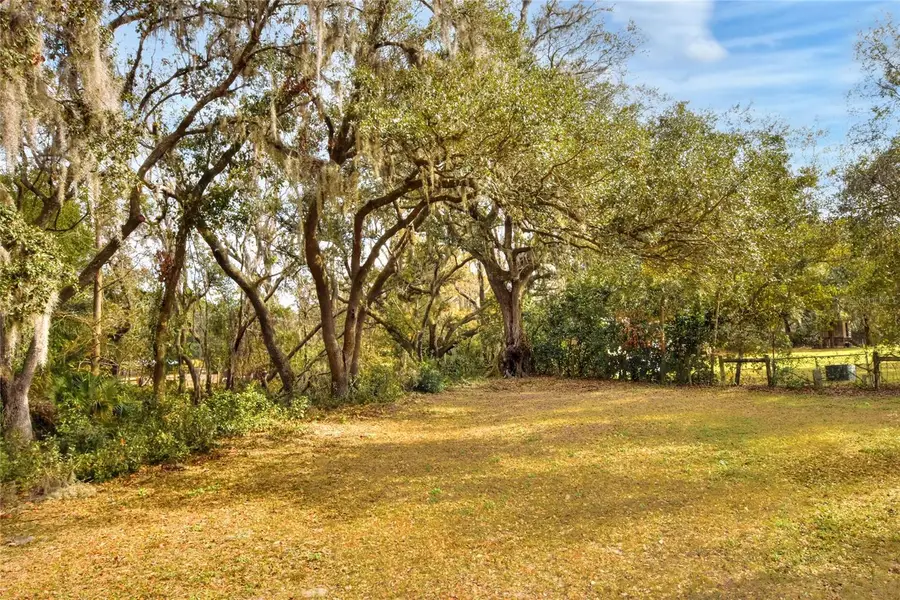 11735 Knights Griffin Road, Thonotosassa, FL 33592 - Image #3