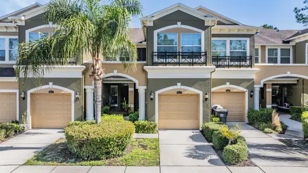 12537 Silverdale Street, TAMPA, FL 33626