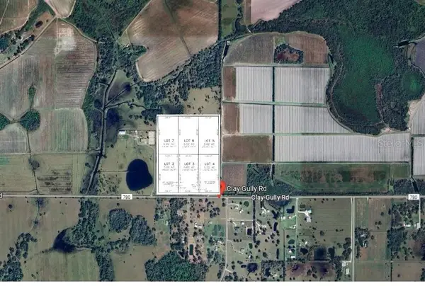 37801 Clay Gully Road, MYAKKA CITY, FL 34251