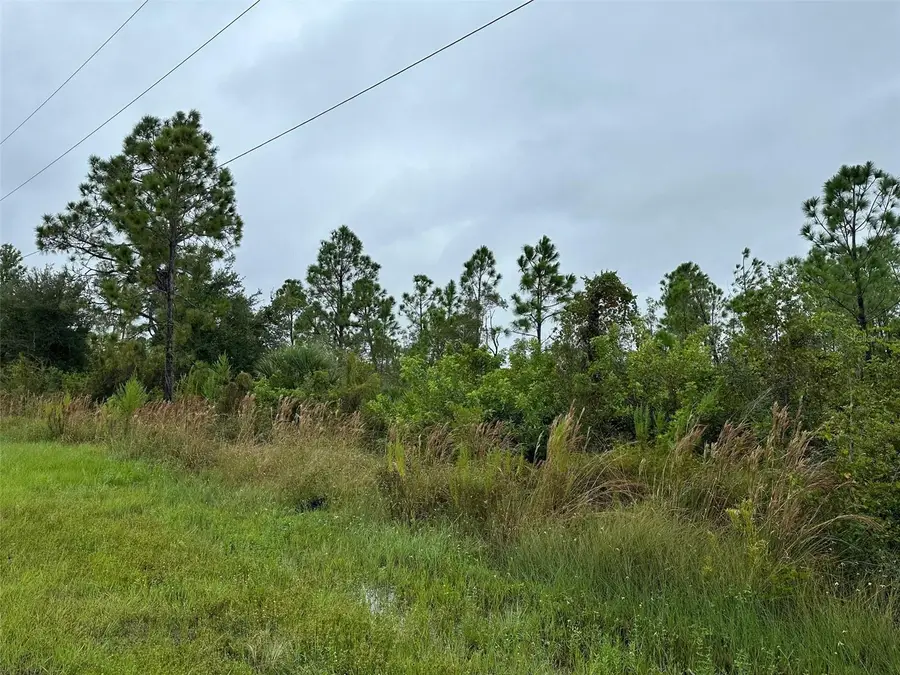 8215 Dittmar Street, Port Charlotte, FL 33981 - #3