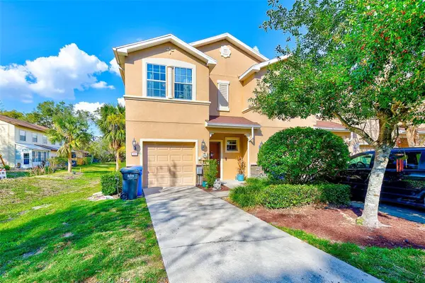 780 Spring Flowers Trail, BRANDON, FL 33511