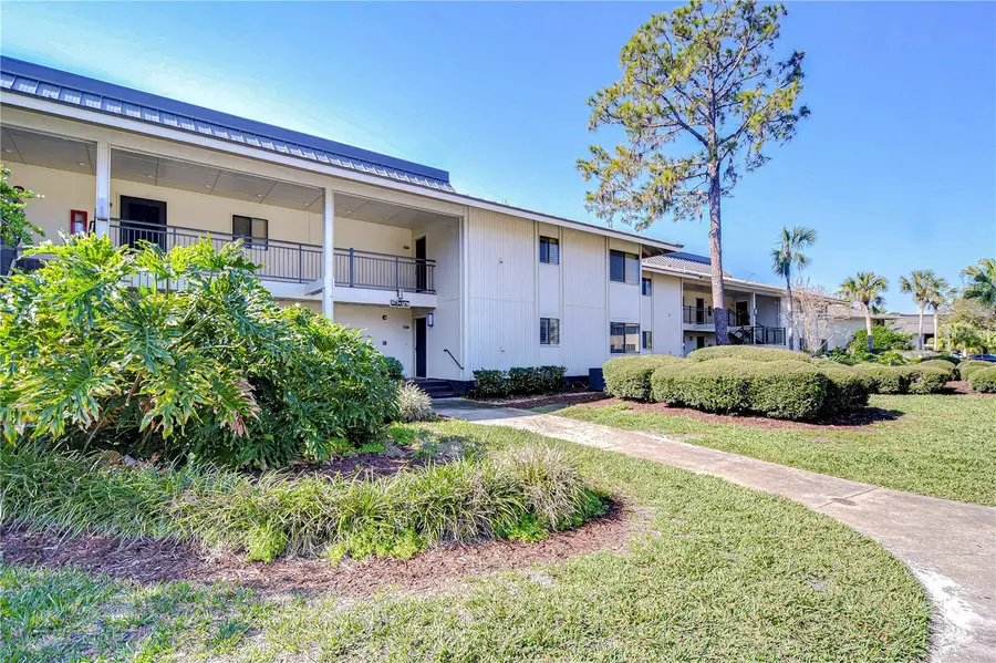 29230 Bay Hollow Drive #3274, Wesley Chapel, FL 33543 - Image #2