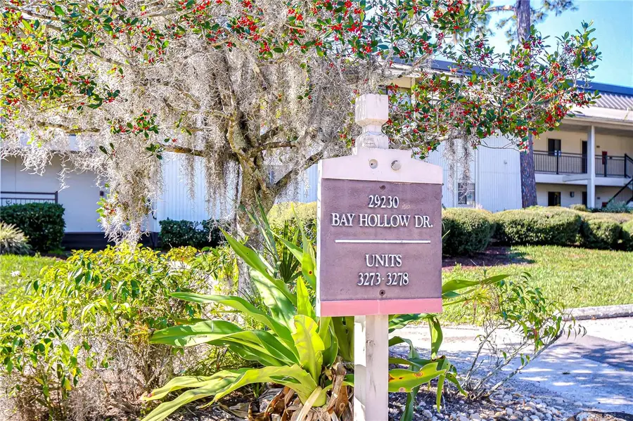 29230 Bay Hollow Drive #3274, Wesley Chapel, FL 33543 - Image #3