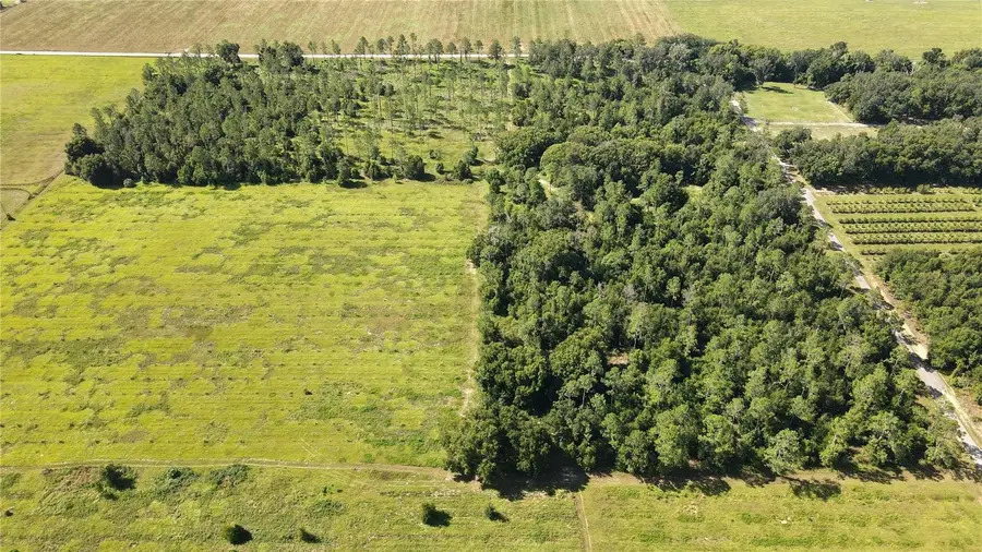 Amberlea Road, Dade City, FL 33523 - Image #2