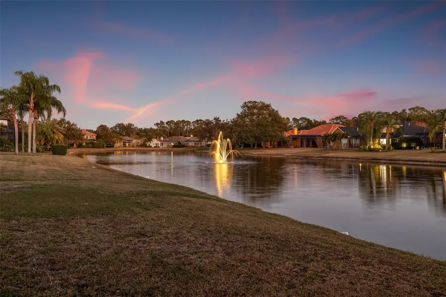 3830 Moreno Drive, Palm Harbor, FL 34685 - Image #3