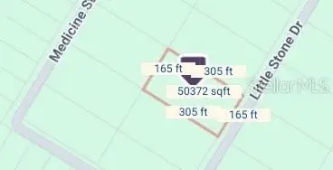 Little Stone Drive, Webster, FL 33597 - Image #2